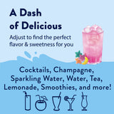 Skinny Mixes SF Fairy Dust Syrup