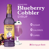 Skinny Mixes SF Blueberry Cobbler Syrup